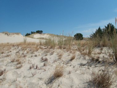 Kuzey Kutbu ve Baltık Sahili 'ndeki ünlü güzel Slowinsky Parkı narodowy kum tepesi