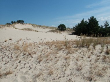Kuzey Kutbu ve Baltık Sahili 'ndeki ünlü güzel Slowinsky Parkı narodowy kum tepesi