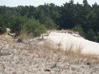 Kuzey Kutbu ve Baltık Sahili 'ndeki ünlü güzel Slowinsky Parkı narodowy kum tepesi