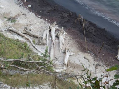 Kuzey Almanya 'daki Rugen kıyısındaki güzel, dengesiz beyaz tebeşir kayalıkları