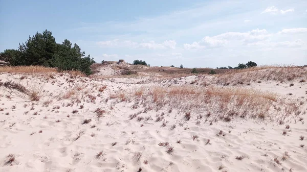 Kuzey Kutbu ve Baltık Sahili 'ndeki ünlü güzel Slowinsky Parkı narodowy kum tepesi