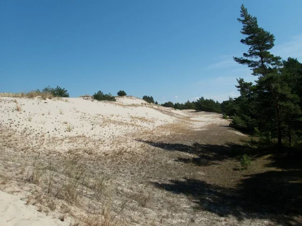 Célèbre Magnifique Parc Slowinsky Narodowy Sable Dunein Côte Baltique Nord — Photo