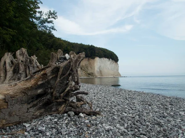 Famosos Hermosos Acantilados Inestables Tiza Blanca Costa Rugosa Norte Gernany — Foto de Stock