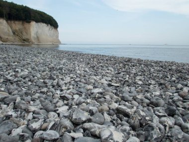 Kuzey Almanya 'daki Rugen kıyısındaki güzel, dengesiz beyaz tebeşir kayalıkları