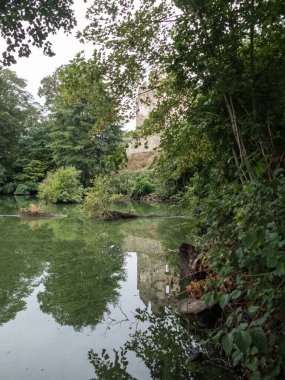 Orta Avrupa 'daki ormanlarda saf su akıntısı