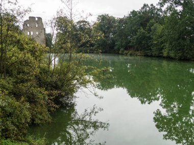 Orta Avrupa 'daki ormanlarda saf su akıntısı