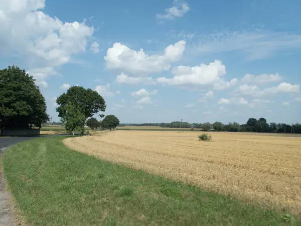 Europien Central Paisaje Agrícola Checo Campo — Foto de Stock