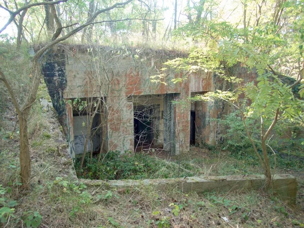 Bunker Cemento Rovine Penisola Hel Costa Baltica Polacco — Foto Stock