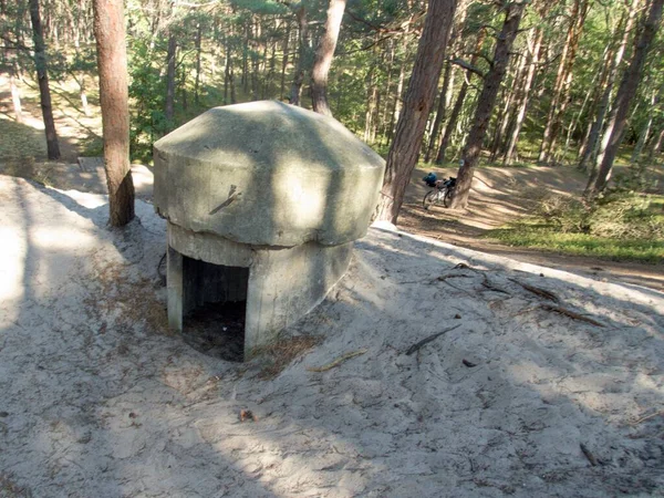 Ruiny Betonowych Bunkrów Półwyspie Helskim Polskim Wybrzeżu Bałtyckim — Zdjęcie stockowe