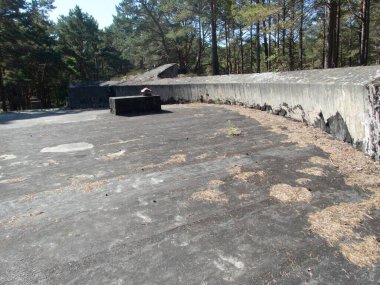 Polonya Baltık Sahili 'ndeki hel yarımadasındaki beton sığınaklar harabe.