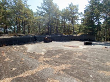 Polonya Baltık Sahili 'ndeki hel yarımadasındaki beton sığınaklar harabe.
