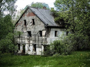 Ormanda terk edilmiş eski bir ev.