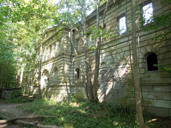 Sassnitz Schloss Dwasieden Ruina Rugen Island Germany —  Fotos de Stock