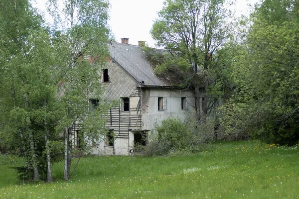 Vieja Casa Abandonada Ruinas Bosque — Foto de Stock
