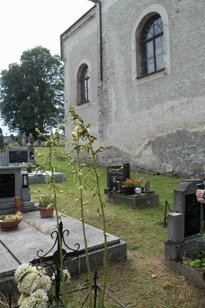 Ein Altes Gebäude Einer Historischen Kirche — Stockfoto