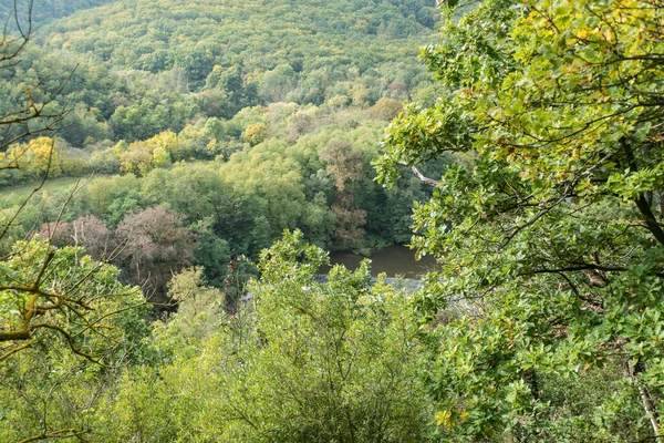 Krásná Kouzelná Přírodní Dřevěná Scéna Podzim — Stock fotografie