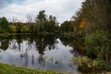 Ormanda küçük, saf bir su nehri.