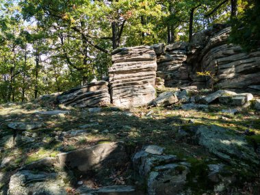 Koyu yeşil ormanda güzel kayalar