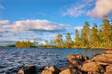 Karelya Gölü ve çam ağaçları ile peyzaj