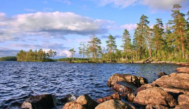 Peyzaj Gölü ve çam ağaçları ile