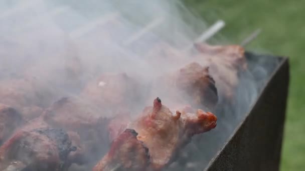 ケバブはグリルで揚げてあります 肉は煙の中で炭火で焼かれる — ストック動画