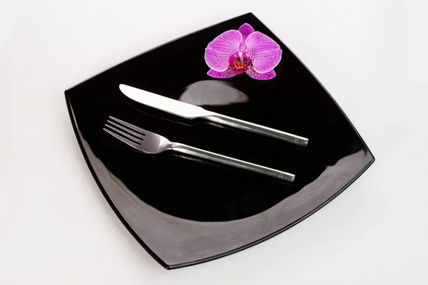 Single Purple Orchid Phalaenopsis Flower Black Plate White Background — Stock Photo, Image