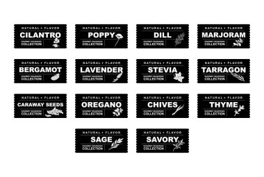 Baharatlar, bitkiler çıkartmalar ve etiketler. Yemek hazırlama ve aşçılık için farklı renk paketleri. Bitkilerle dolu çantalar. Cilantro, haşhaş, dereotu, marjoram, vektör seti satmak için bergamot organik ürün.