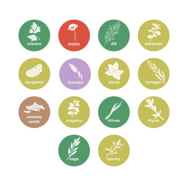 Baharatlar, bitkiler çıkartmalar ve etiketler. Yemek hazırlama ve aşçılık için farklı renk paketleri. Bitkilerle dolu çantalar. Cilantro, haşhaş, dereotu, marjoram, vektör seti satmak için bergamot organik ürün.