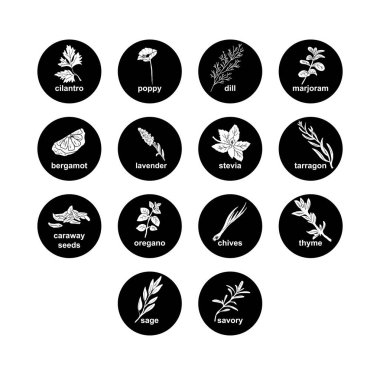 Baharatlar, bitkiler çıkartmalar ve etiketler. Yemek hazırlama ve aşçılık için farklı renk paketleri. Bitkilerle dolu çantalar. Cilantro, haşhaş, dereotu, marjoram, vektör seti satmak için bergamot organik ürün.