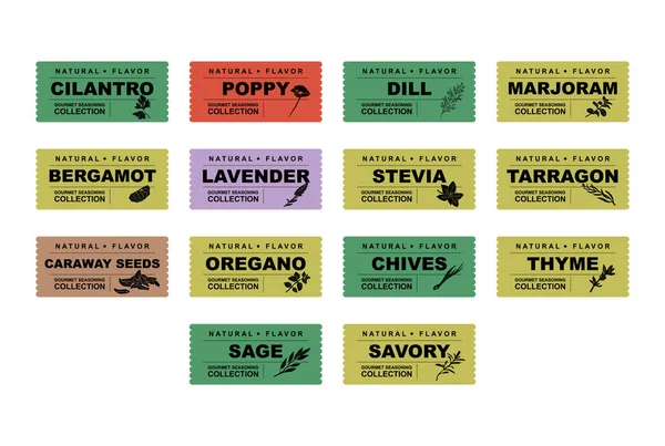 Baharatlar, bitkiler çıkartmalar ve etiketler. Yemek hazırlama ve aşçılık için farklı renk paketleri. Bitkilerle dolu çantalar. Cilantro, haşhaş, dereotu, marjoram, vektör seti satmak için bergamot organik ürün.