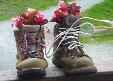 çiçekli dağ çizme