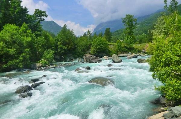 Panorama Con Río Bosque —  Fotos de Stock