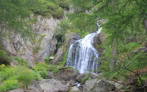 Une Cascade Montagne Dans Forêt — Photo