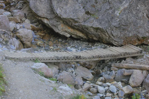 Bridge Made Tree Trunks — Stock Photo, Image