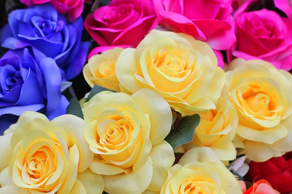 Fondo Con Rosas Diferentes Colores Imágenes De Stock Sin Royalties Gratis