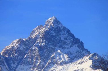 Monviso dağın Kışın kar ile Panorama 