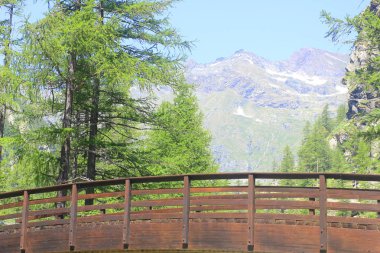 dağların önünde ahşap köprü