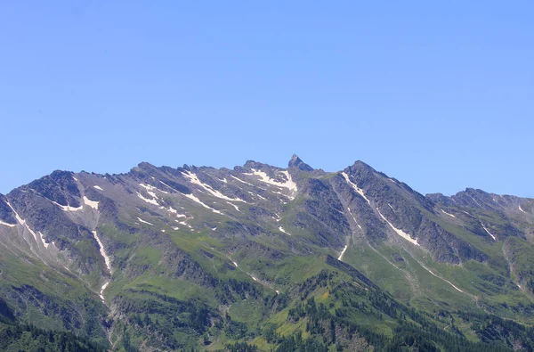 Buzul, bitki örtüsü ve kayalar ile dağ sırası — Stok fotoğraf
