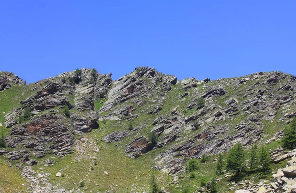 Панорама с горы, растительность и камни — стоковое фото