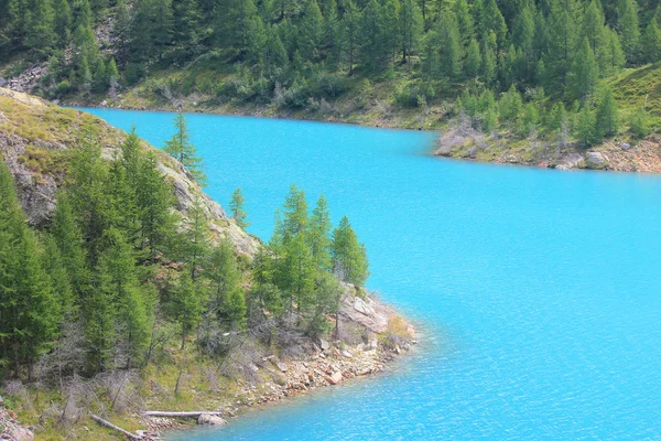 Панорама Альпийского озера в горах летом — стоковое фото