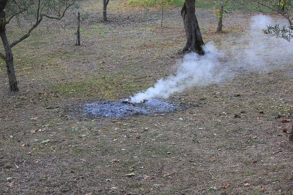 Rök från brasan på ett fält — Stockfoto
