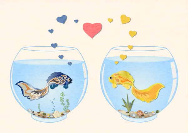 두 개의 귀여운 물고기 사랑에, 그들은 수영 다른 수족관에서 봐 서로. — 스톡 사진