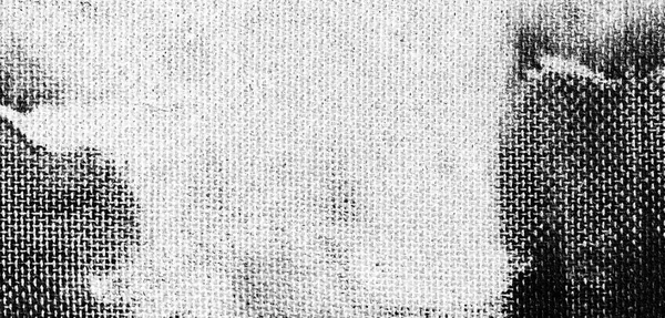 Grunge Backdrop Fiberboard Pressboard Texture Pattern Embossing Wooden Light Surface — Stock Photo, Image