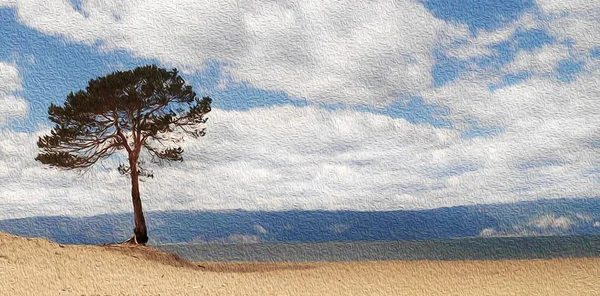 Yalnız ağaç bay üzerinde. Yalnız çam ağacı görünümünü Deniz Baykal, Rusya'nın kıyısında. Doğal plaj gökyüzü karşı Körfez boyunca. Kıyı doğal peyzaj. Doku yağlı boya. Sanat poster, iç için.