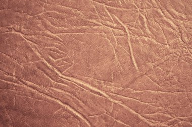 Renkli deri doku, doğal veya faux deri arka plan. Hafif kahverengi deri, portre.