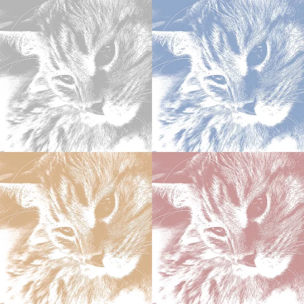 Set of portraits of cats face in profile, cute pussycat relaxed looking to side.