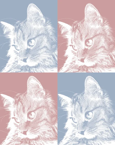 Set of portraits of cats face in profile, cute pussycat relaxed looking to side.