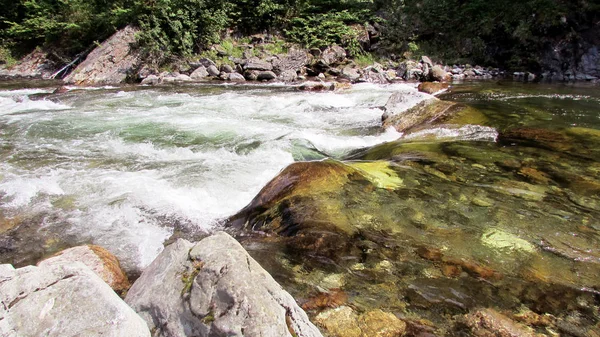 Berg rivier met schilderachtige drempel in het bos. — Stockfoto