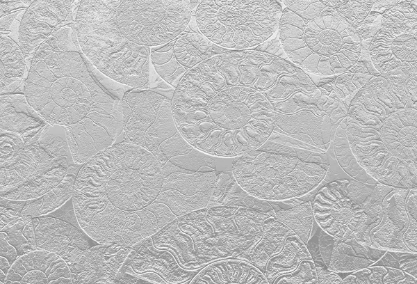 Abstract background of fossil Ammonites, decorative wallpaper of petrified shells, print from spirals of seashells on white backdrop. — Stock Photo, Image