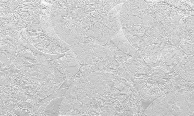Arka plan fosil ammonit, Ammonoidea. Dekoratif duvar kağıdı taşlaşmış kabukları. Deniz kabuklarını spiraller beyaz zemin üzerinde yazdırma. Cephalopoda yumuşakçalar dokulu sıva üzerine pulları.